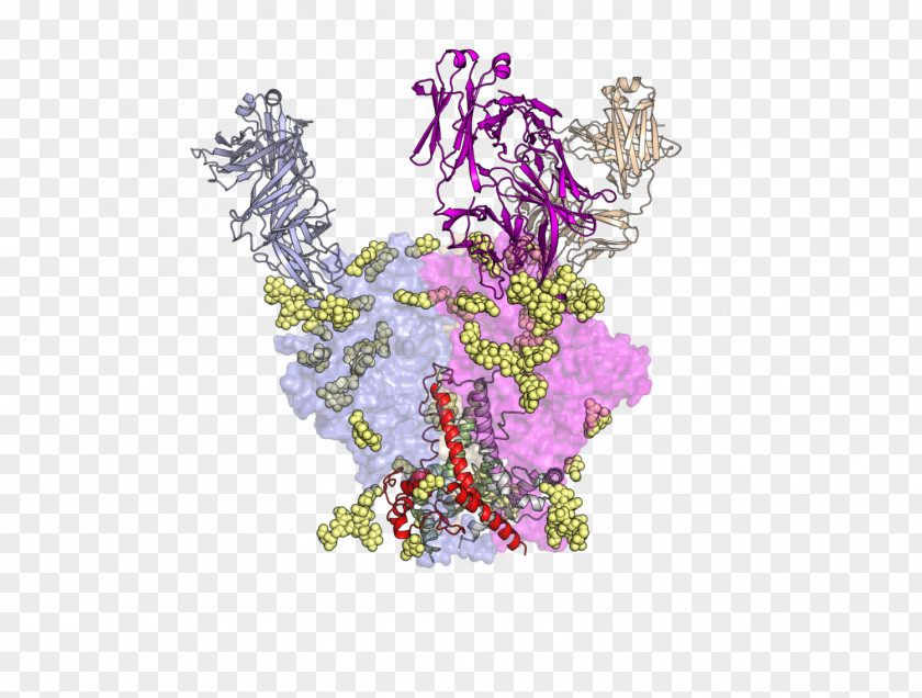 Sterilized Virus Antibody Floral Design Character Fiction Font PNG