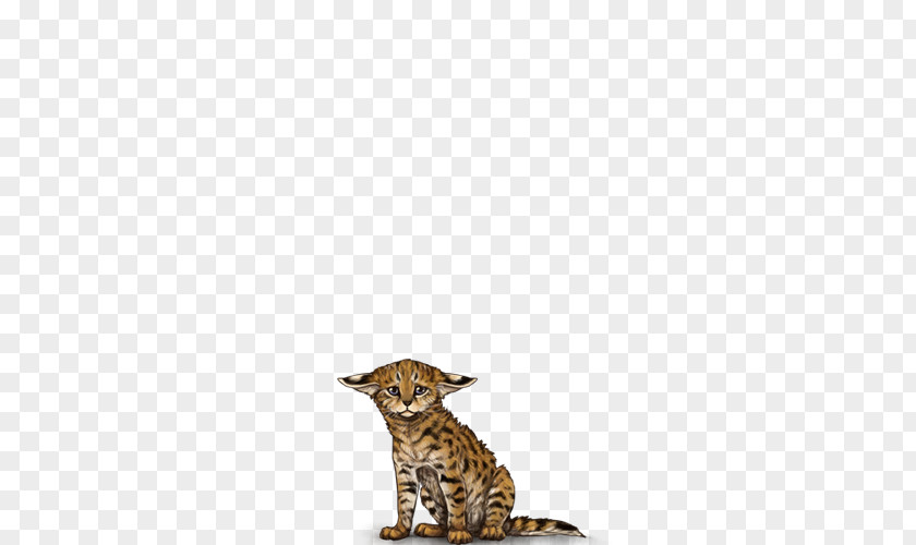 Cat Big Cheetah Terrestrial Animal Tail PNG