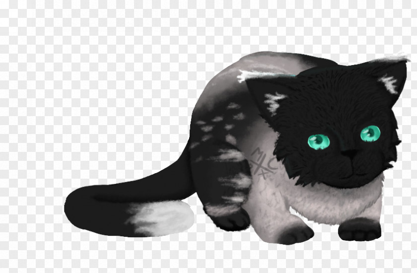 Cat Whiskers Black Snout Puma PNG