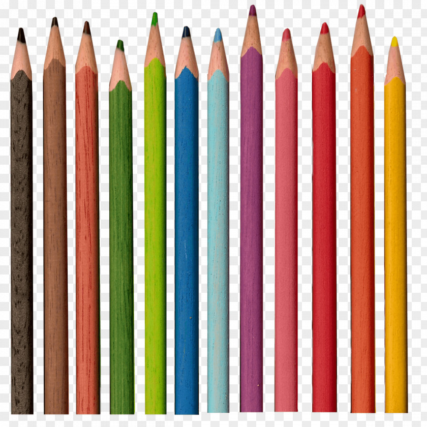 Colorful Pencils Image Colored Pencil Prismacolor Crayola PNG