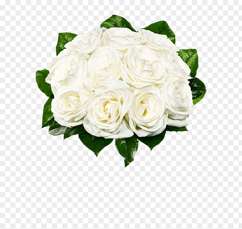 Floral Design PNG