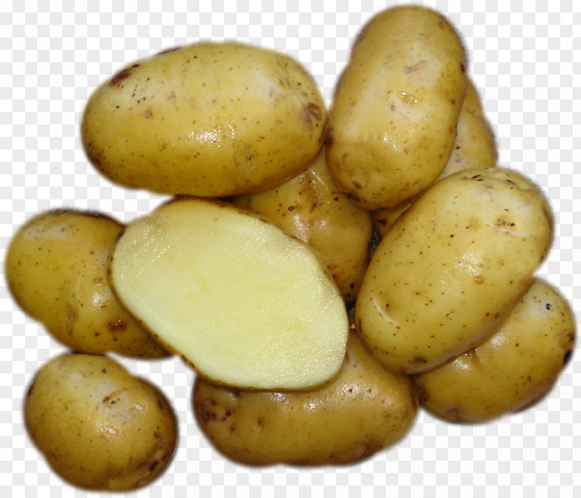 Russet Burbank Potato Fingerling Yukon Gold Bintje Tuber PNG