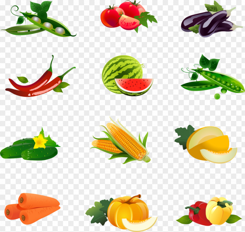 Vector Fruits And Vegetables Corn On The Cob Corncob Pea Maize PNG