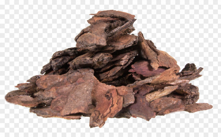 Wood Woodchips Compost Bark Tree PNG