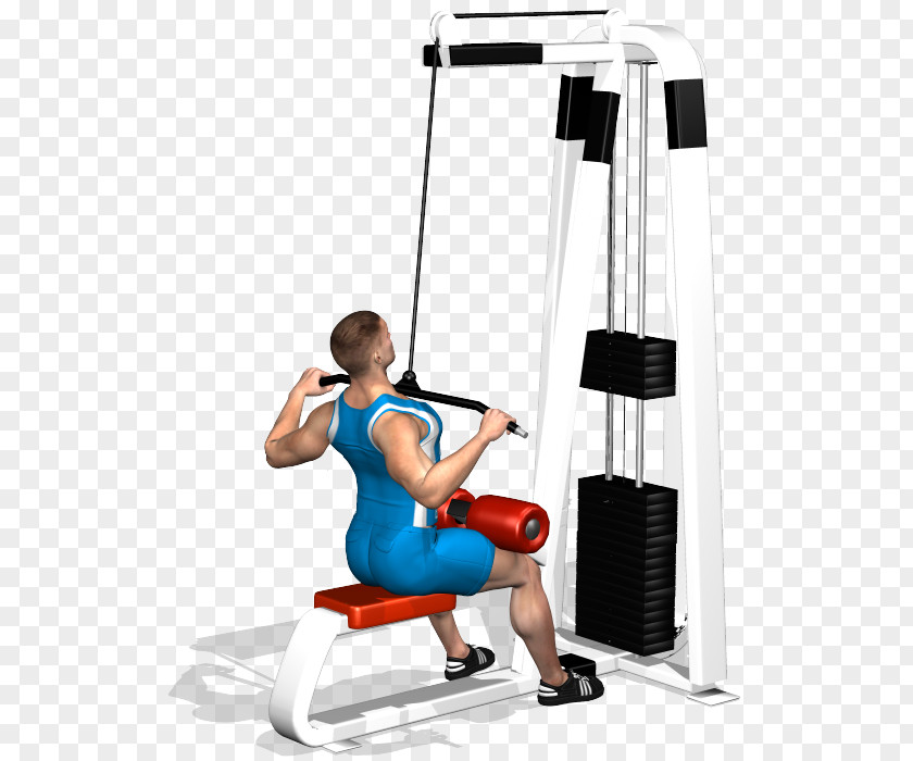 Bodybuilding Latissimus Dorsi Muscle Fitness Centre Physical Pulldown Exercise PNG