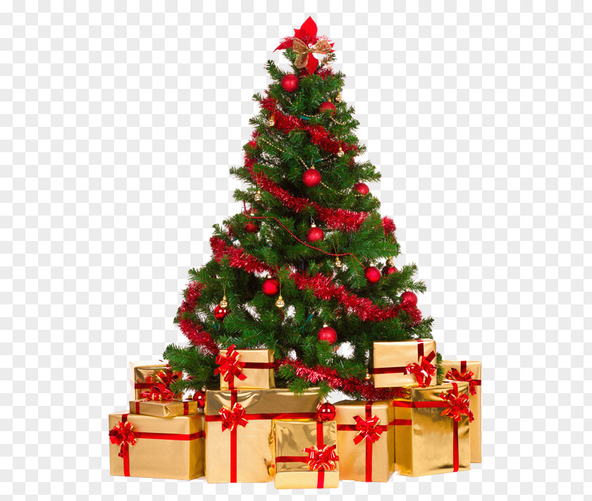 Christmas Tree Artificial Decoration PNG