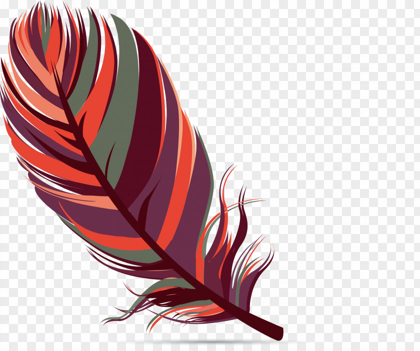 Red Feather Bird PNG