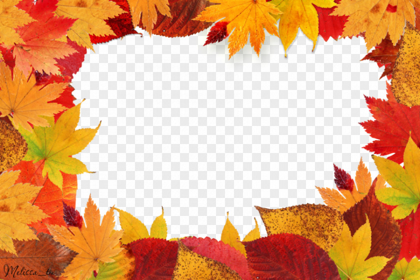 Autumn Leaves Frame Leaf Color Picture PNG