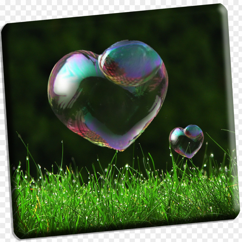 Bubble Soap Heart Mac App Store PNG
