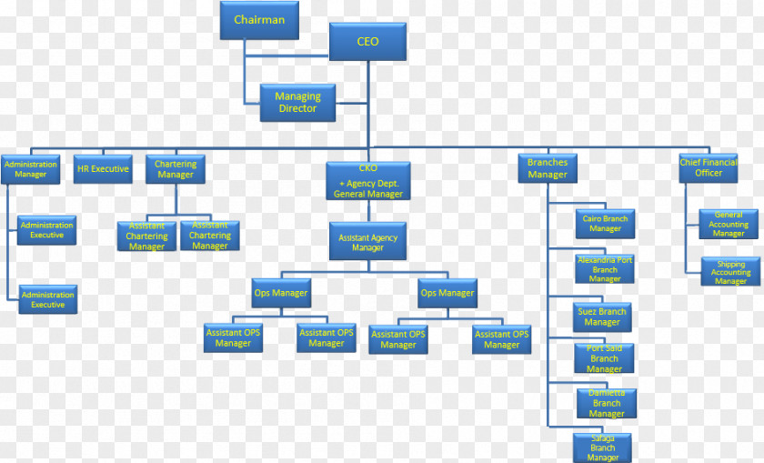 Organizational Chart Senior Management Structure PNG