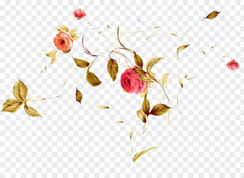 Plant Stem Prickly Rose Watercolor Flower Background PNG
