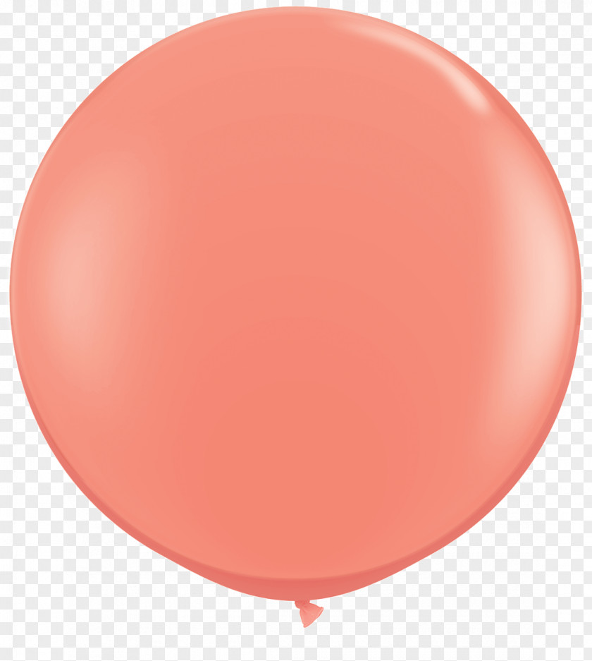 Purple Coral Gas Balloon Amazon.com Pink Toy PNG