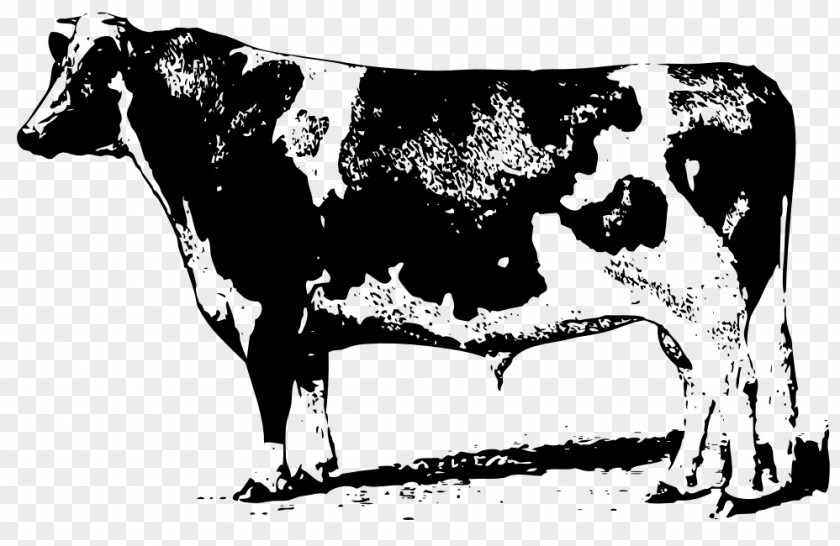 Two Cow Beef Cattle Jersey Angus Clip Art PNG