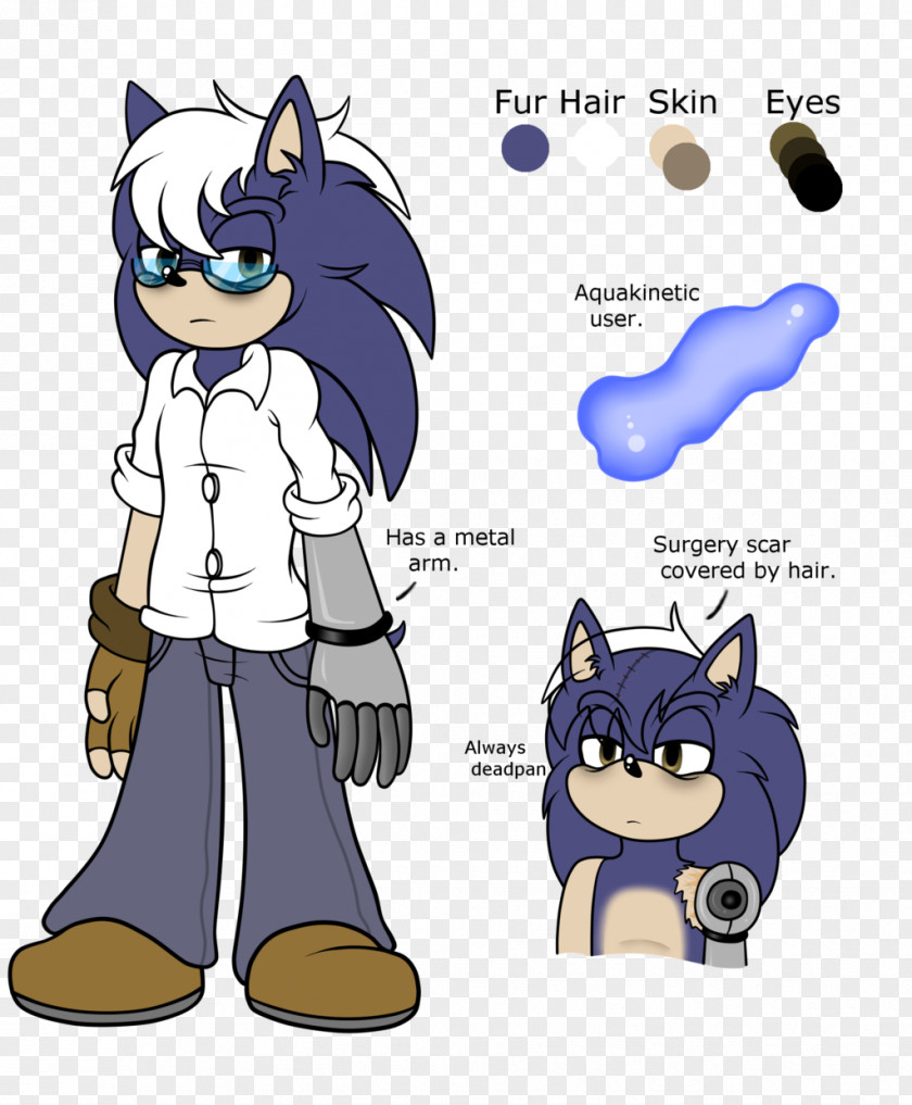 Cat Sonic The Hedgehog Ariciul Father PNG