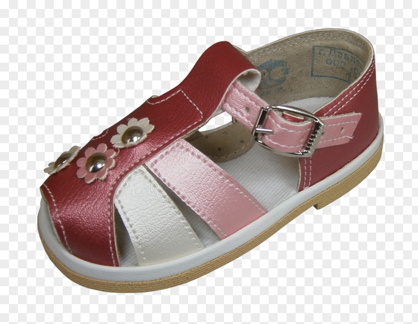 Sandal Shoe Pink M Walking PNG