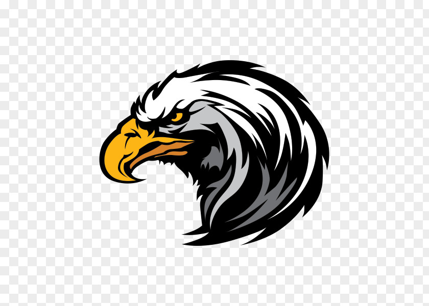 Eagle Vector Graphics Stock Illustration Royalty-free Image PNG
