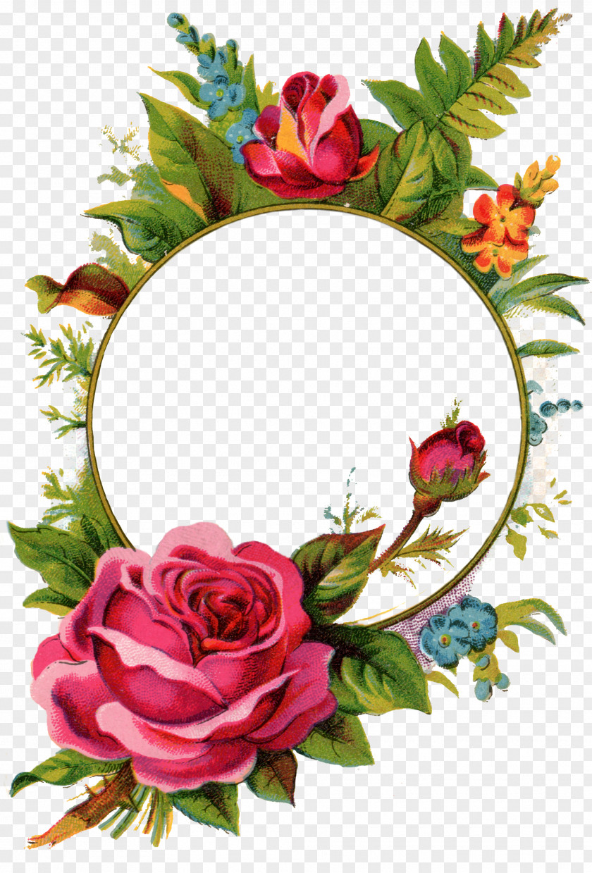 Floral Picture Frames Rose Stock Photography Royalty-free Clip Art PNG