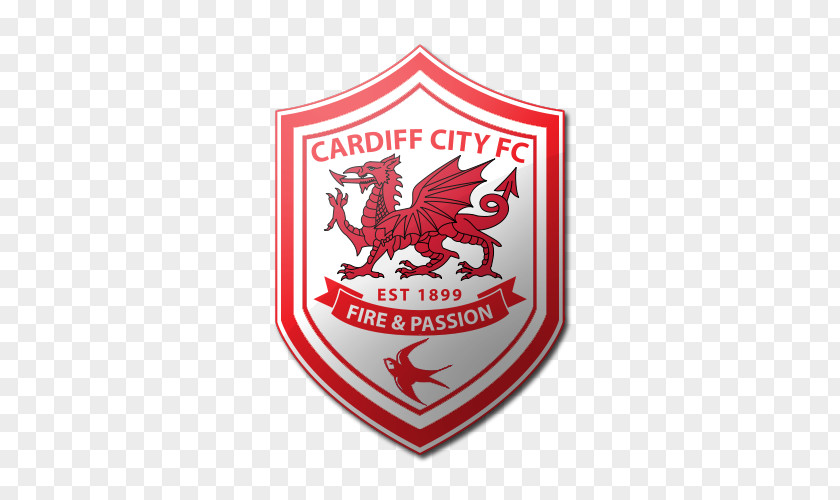 Premier League Cardiff City F.C. Stadium English Football PNG