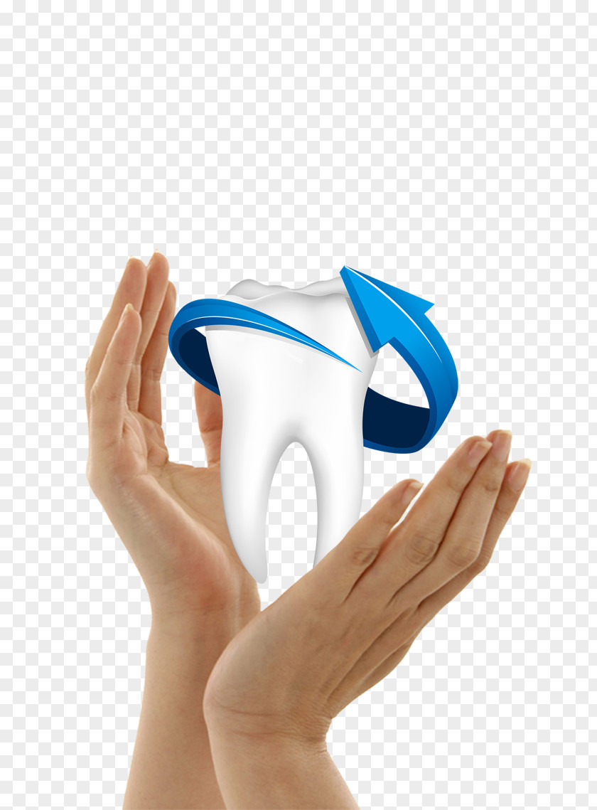 Protect Teeth Human Tooth Dentistry PNG