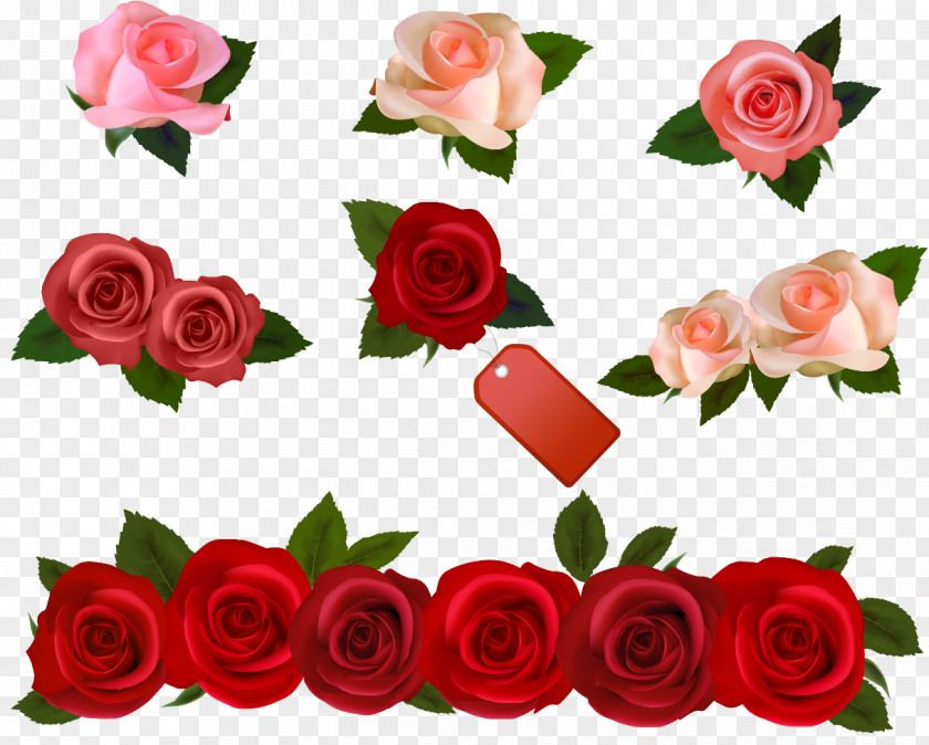 Rose Vector Flower Clip Art PNG