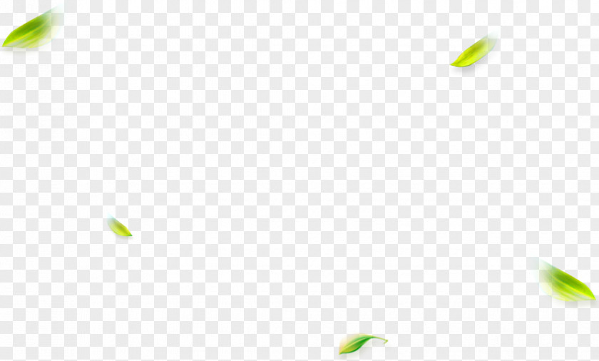 Green And Fresh Leaves Floating Material Pattern PNG