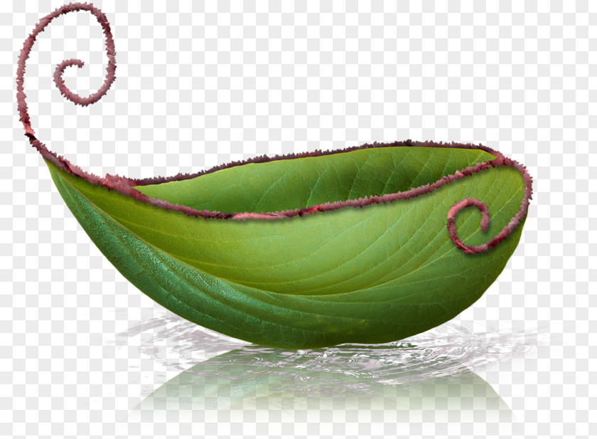 Green Leaf Boat PNG