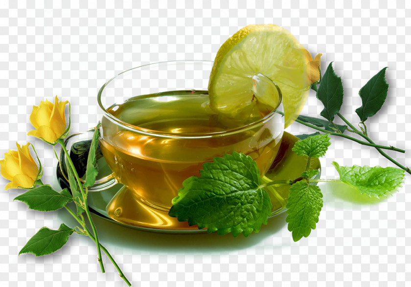 Tea Zhancha Water Creatives Herbal Coffee Mentha Spicata Infusion PNG