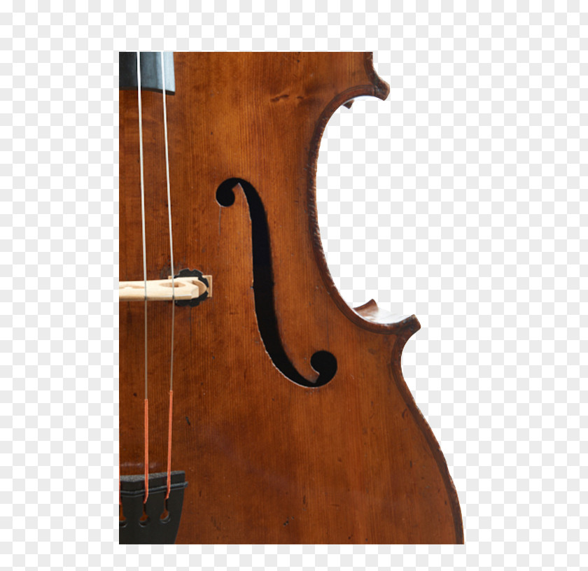 Violin Bass Double Violone Viola Octobass PNG