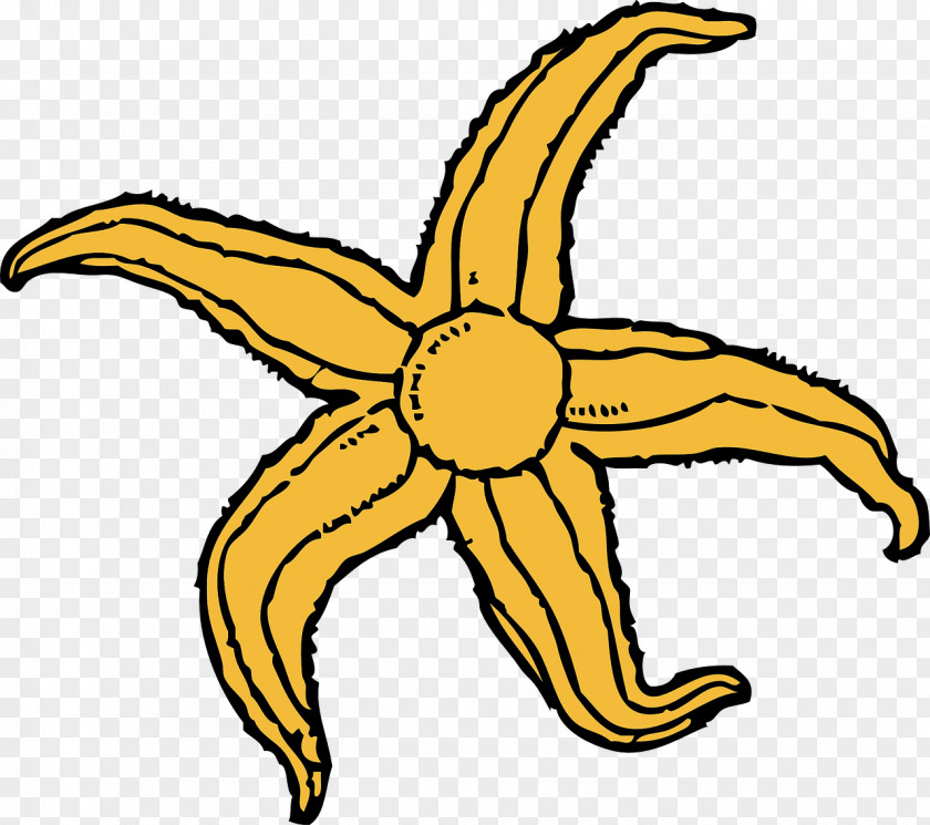 Yellow Starfish Drawing Clip Art PNG