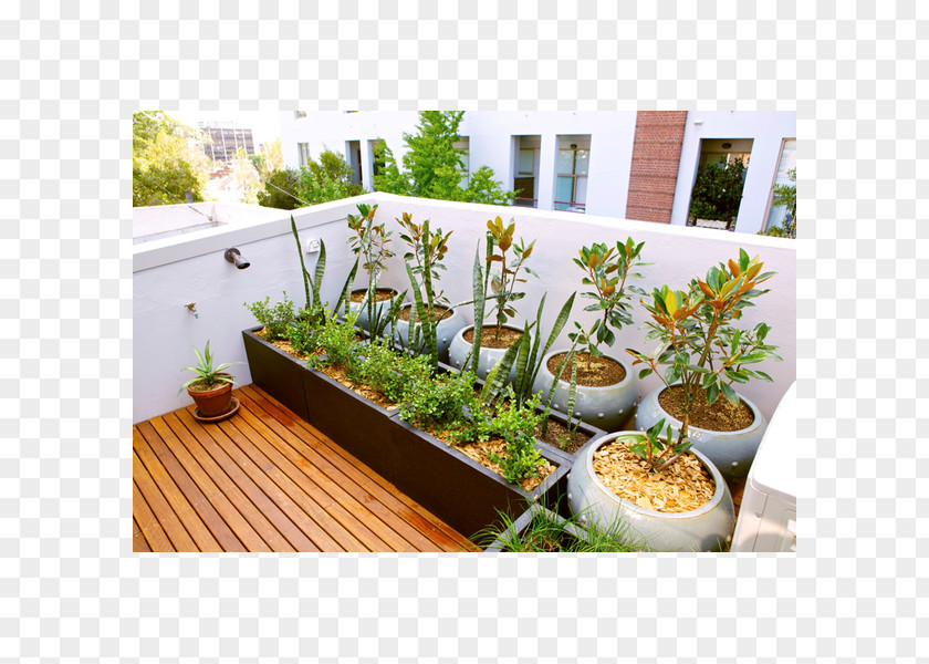 Balcony Terrace Garden Roof Design PNG