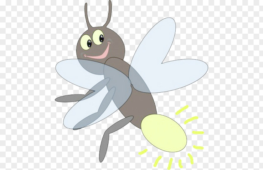 Cartoon Firefly Insect Drawing Clip Art PNG