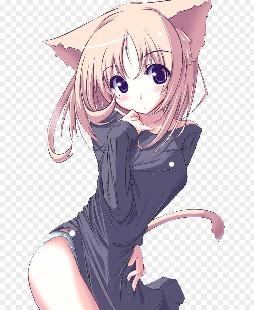 Catgirl Anime Desktop PNG , Cat clipart PNG
