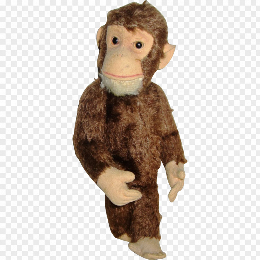 Chimpanzee Primate Stuffed Animals & Cuddly Toys Cercopithecidae Plush Monkey PNG