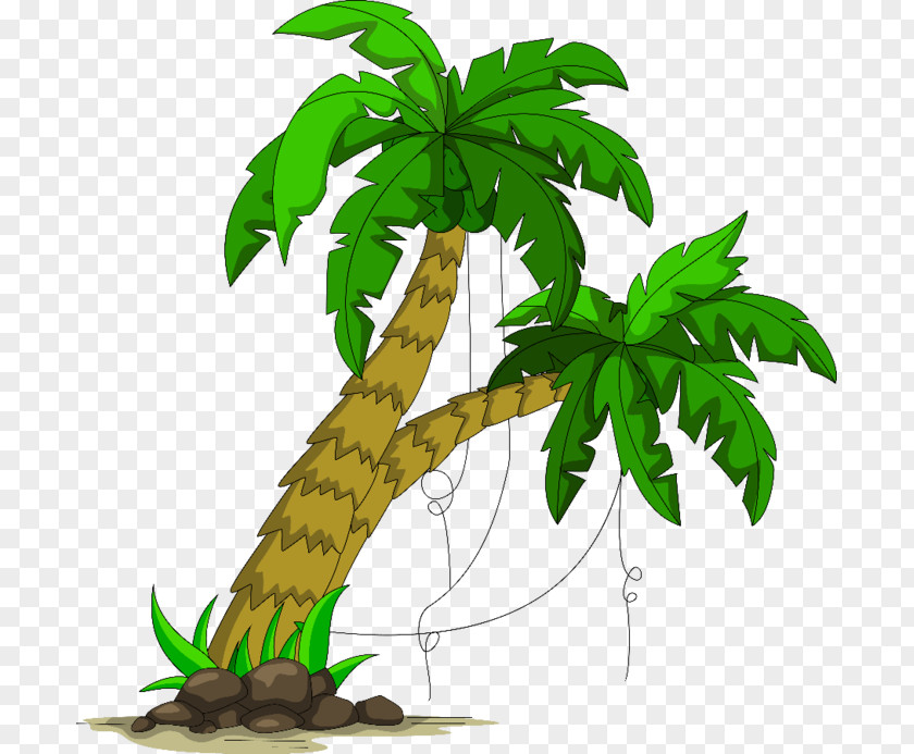 Coconut Arecaceae Child PNG