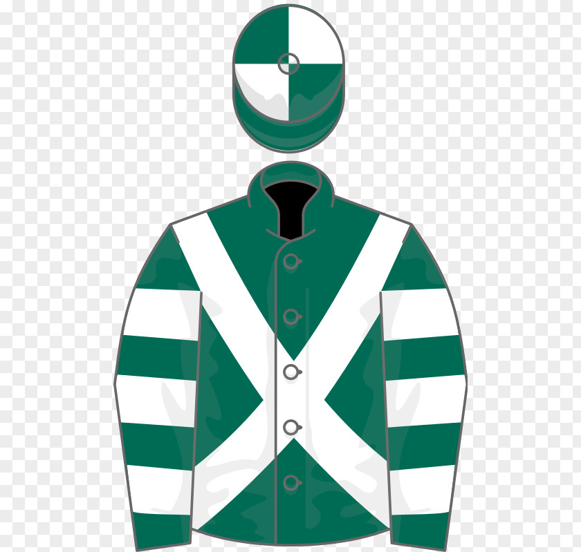 T-shirt Sleeve Fred Winter Juvenile Novices' Handicap Hurdle Poster Wikipedia PNG