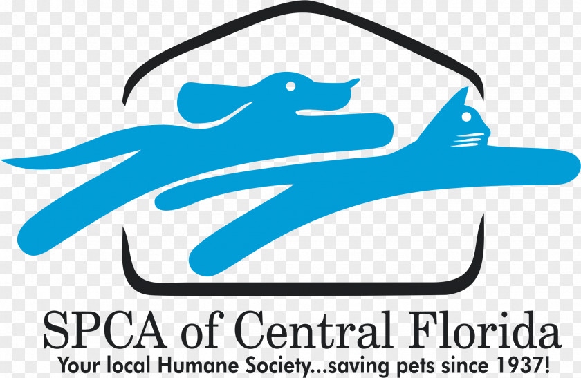 Cat Society For The Prevention Of Cruelty To Animals Florida Pet Humane PNG