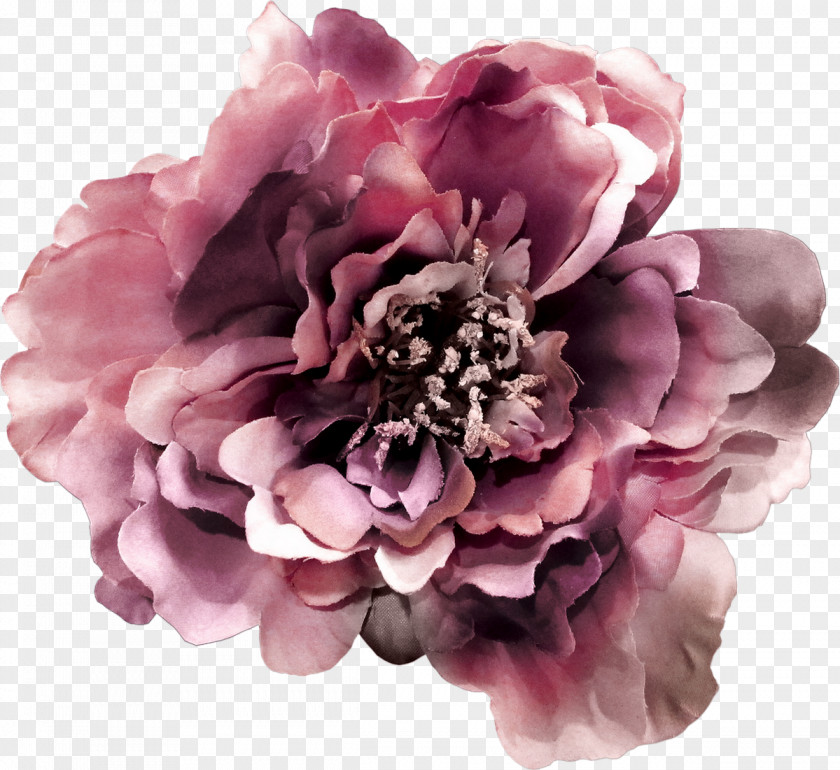 Flower Photography LiveInternet PNG