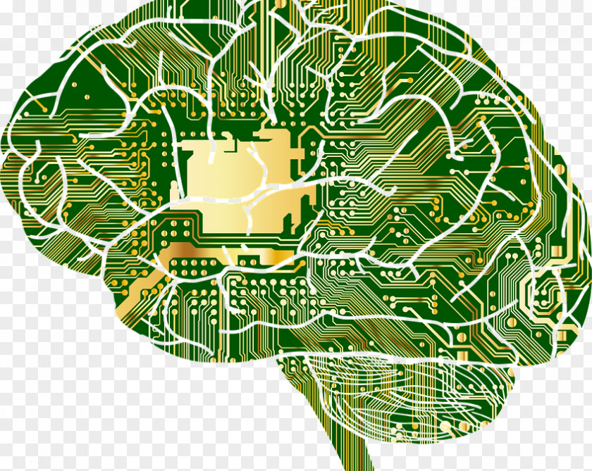 Neural Network Brain Artificial Computer Anatomy PNG