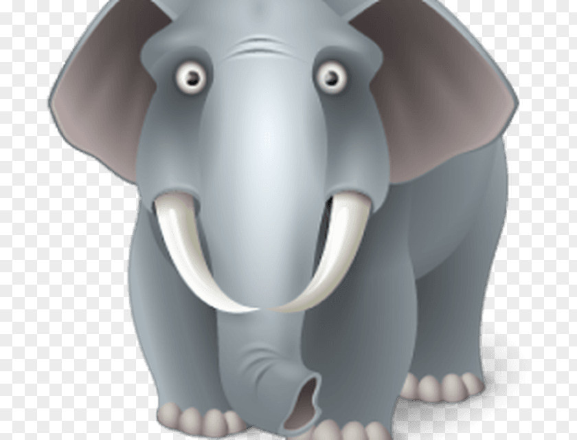 Elephant Image PNG