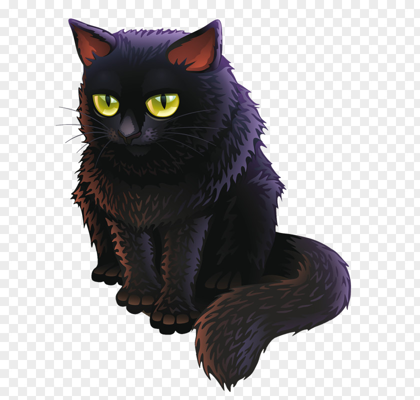 Kitten Black Cat Persian Clip Art PNG