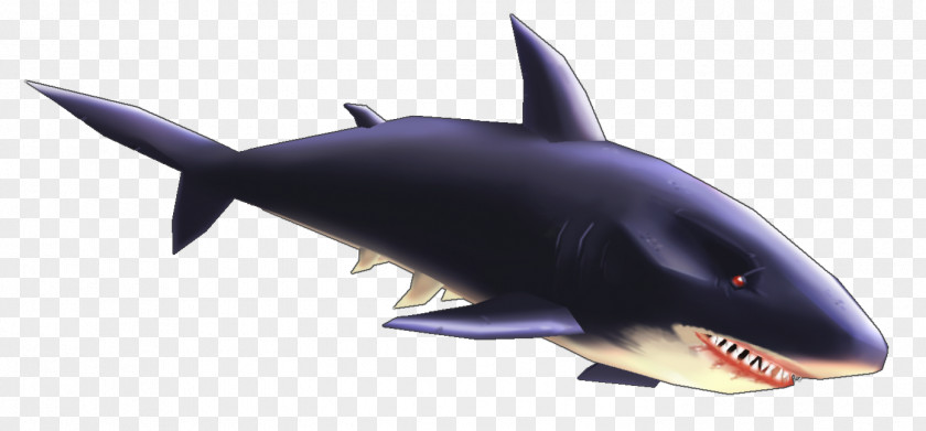 Shark Shark! Download PNG