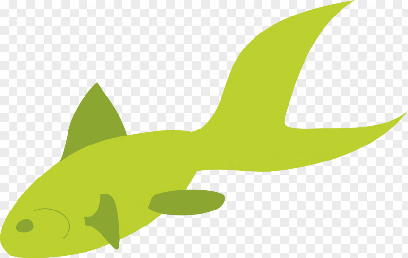 Squaliformes Tail Green Leaf Background PNG