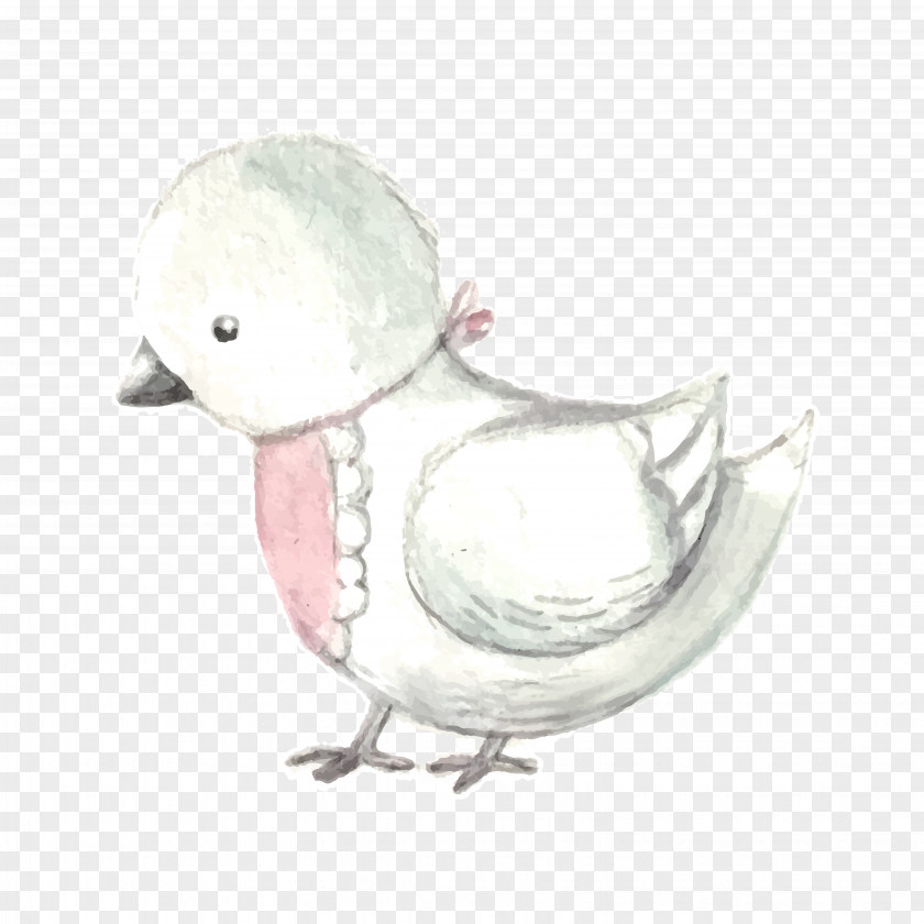 Vector Cute White Bird Duck Euclidean PNG