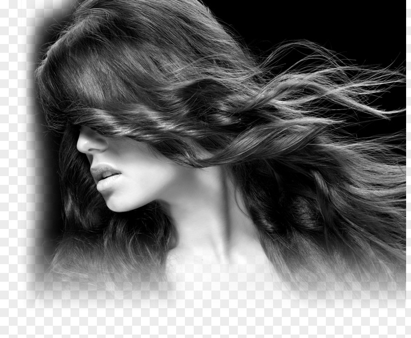 Elegant Hair Long Ancona Capelli Layered Cosmetologist PNG