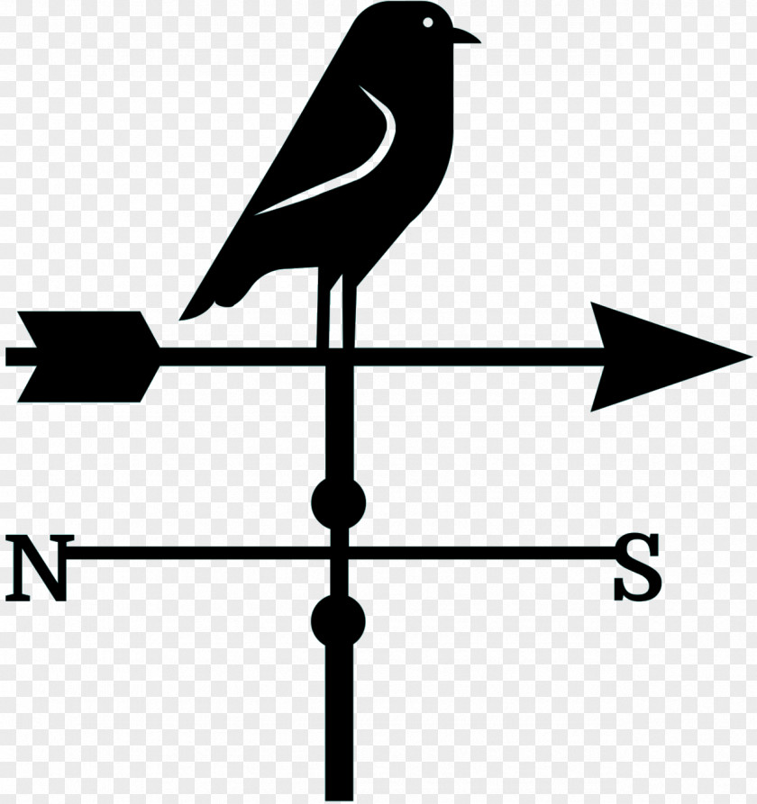 M Line Angle Clip Art Beak Black & White PNG