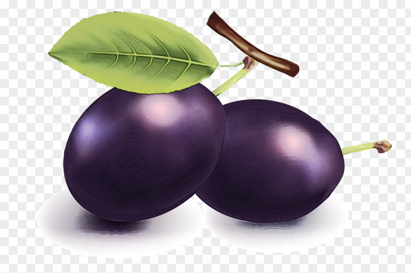 Superfood Eggplant Watercolor Leaf PNG