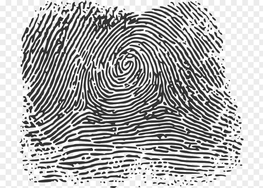 Fingerprint Wikimedia Commons Foundation Printing PNG