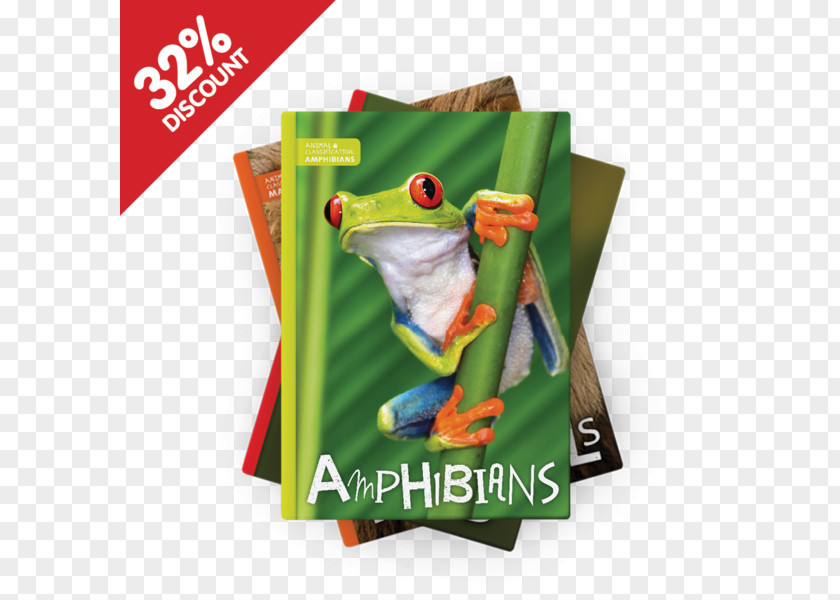 Frog Amphibians Red-eyed Tree Vertebrate Reptile PNG