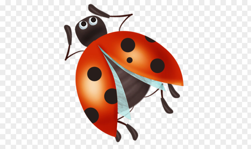 Insect Ladybird Beetle Clip Art PNG