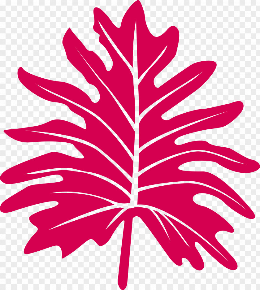 Leaf PNG